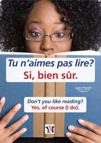 Learn French monthly posters